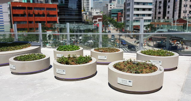 ���� �����̵�